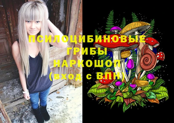винт Богородицк