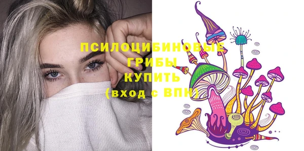 mdpv Богданович