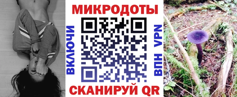 Купить где  Ревда  Псилоцибиновые грибы Cubensis 